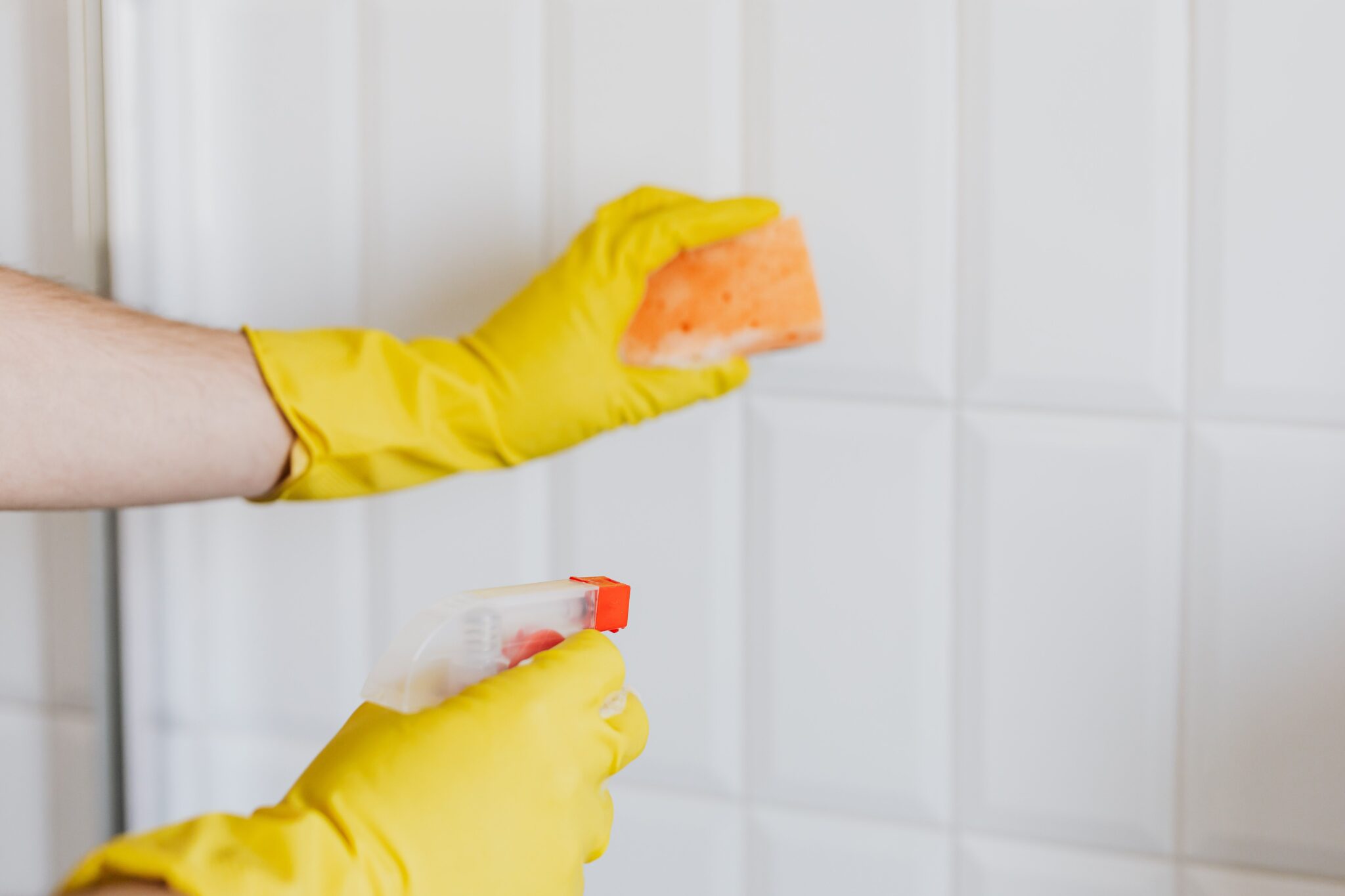 cleaning tile mold free