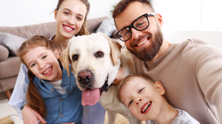dog with family