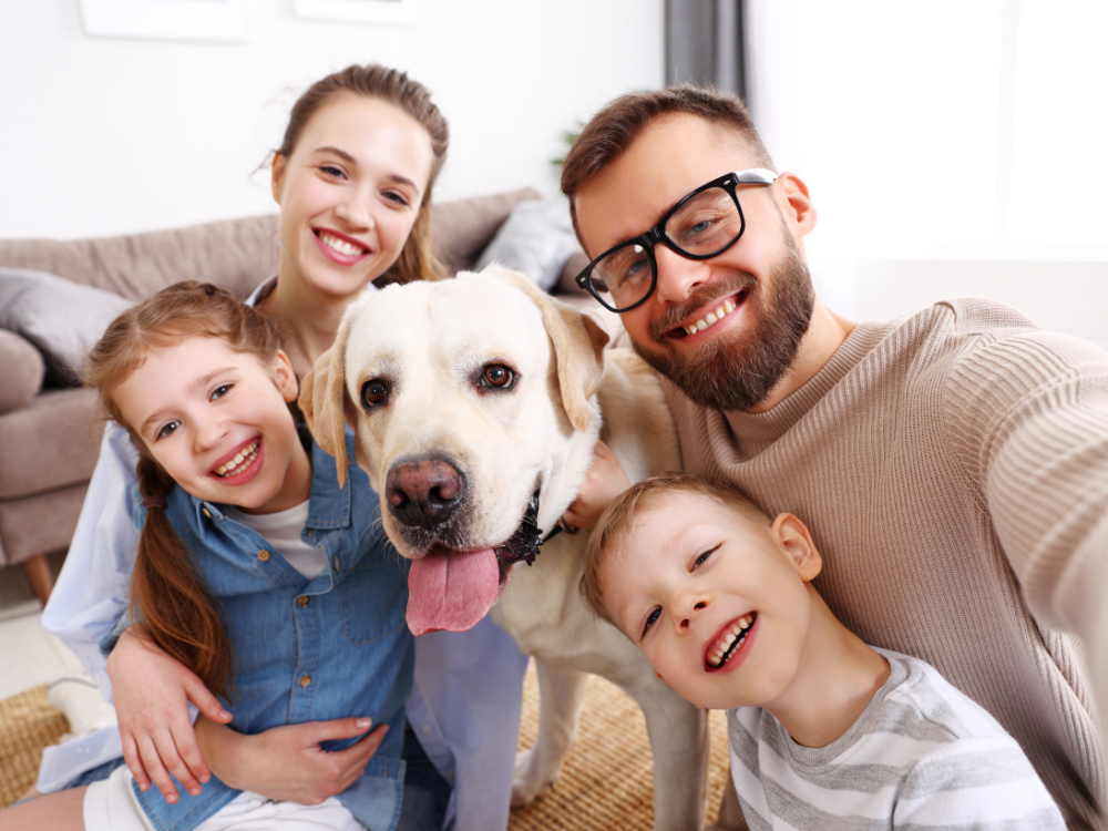 dog with family