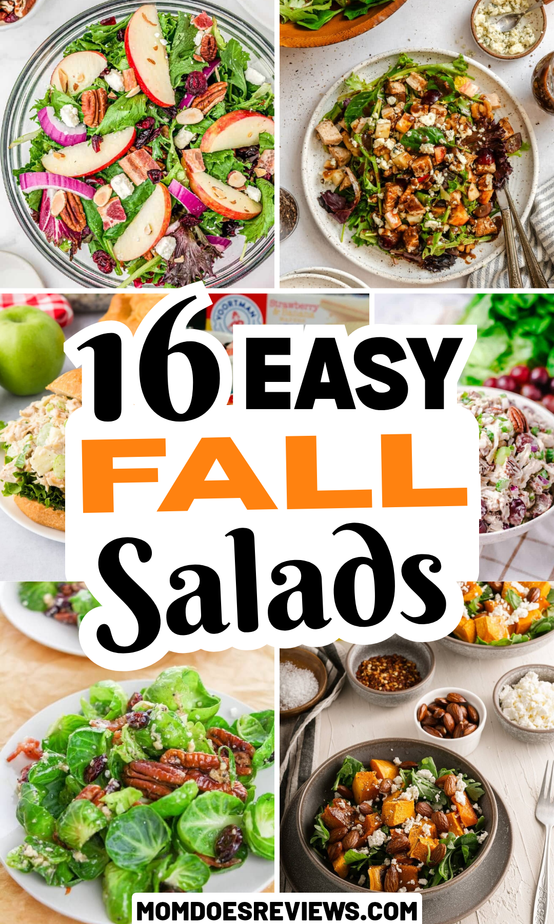 Easy fall salads