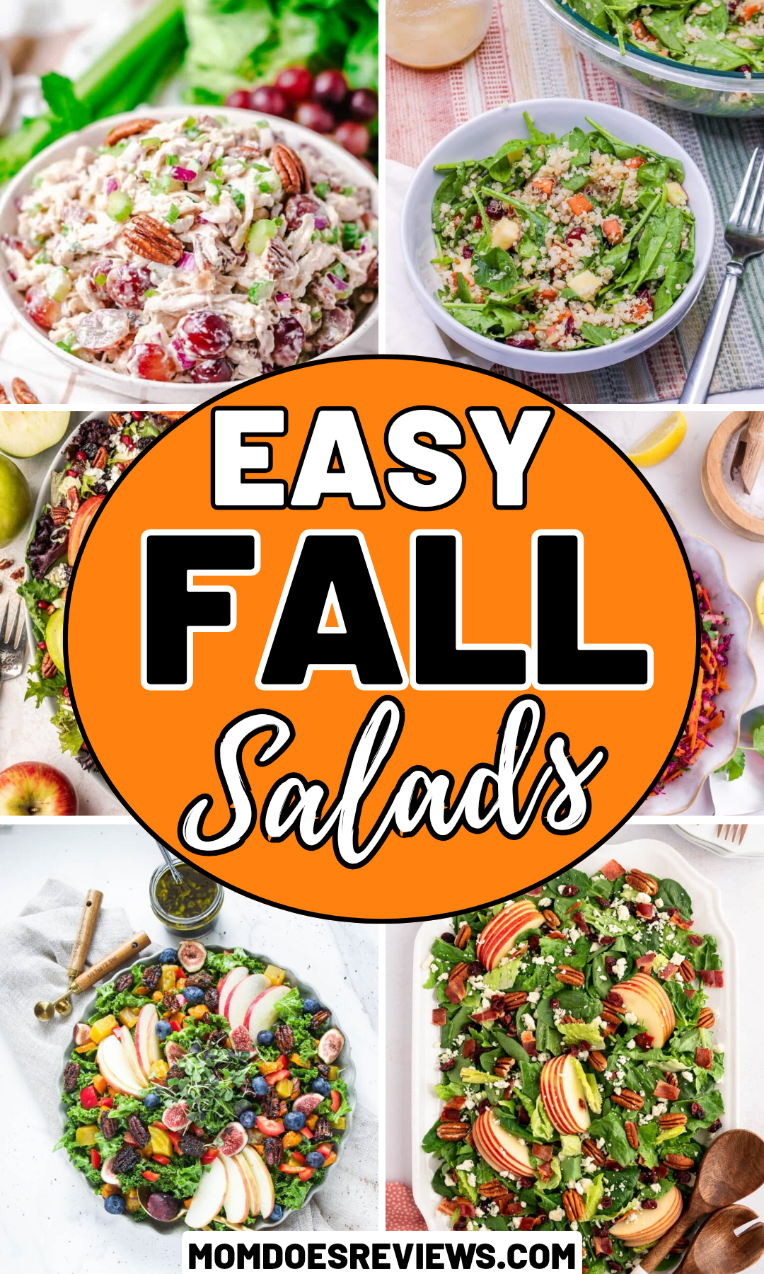 Easy fall salads