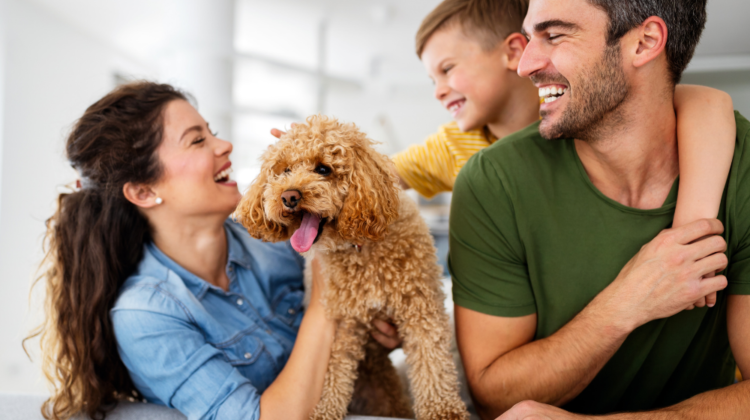 family with puppy