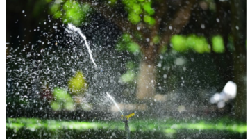 sprinkler