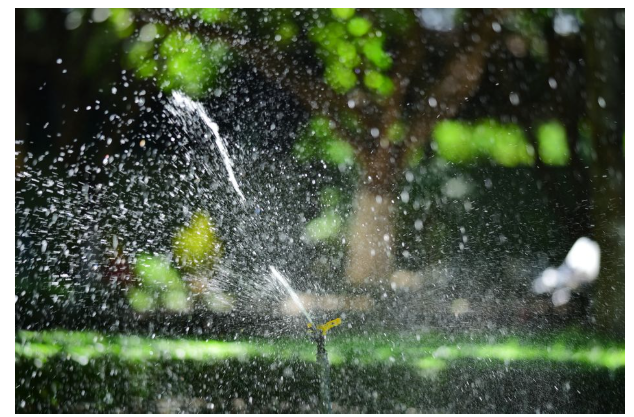 lawn sprinkler