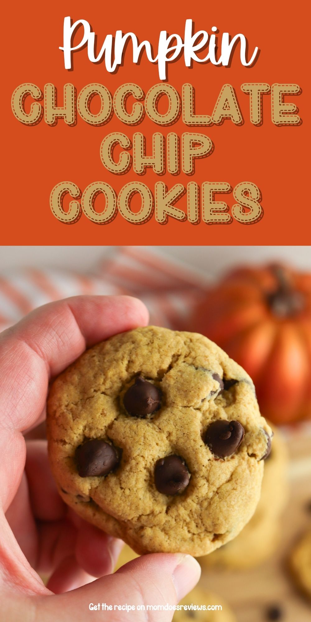 Pumpkin Chocolate Chip Cookies