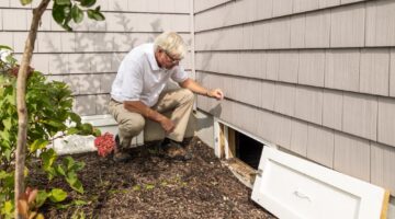 looking at siding