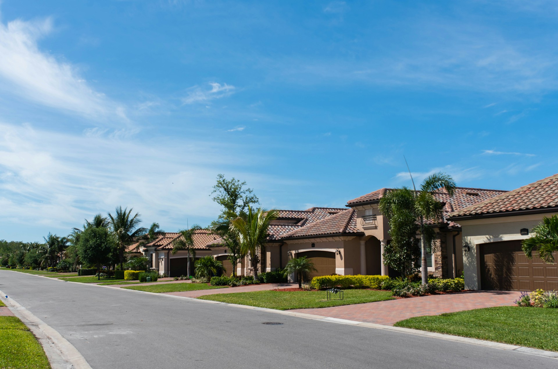 street with houses and palms