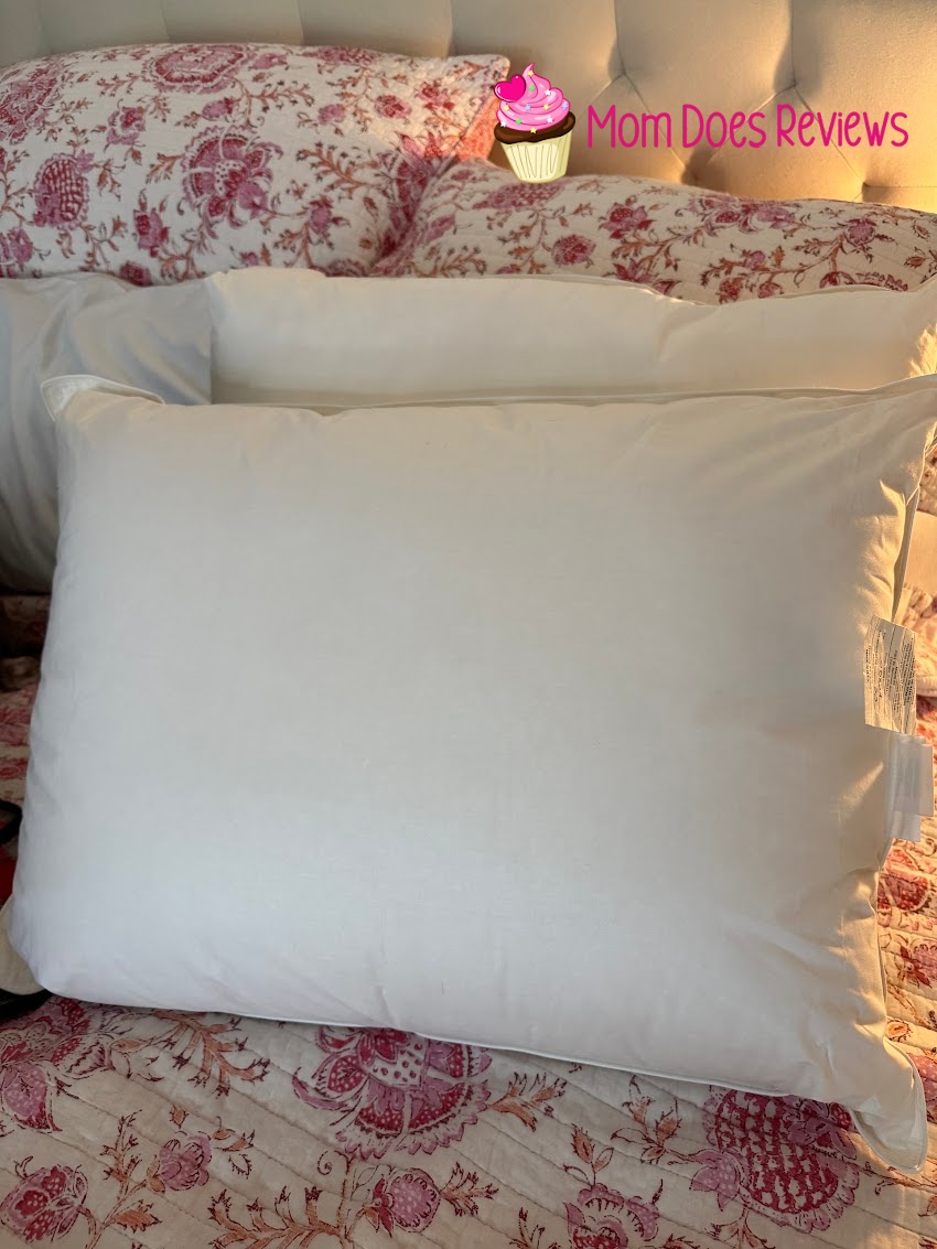 Eastern Accents pillows without pillowcases on a bed