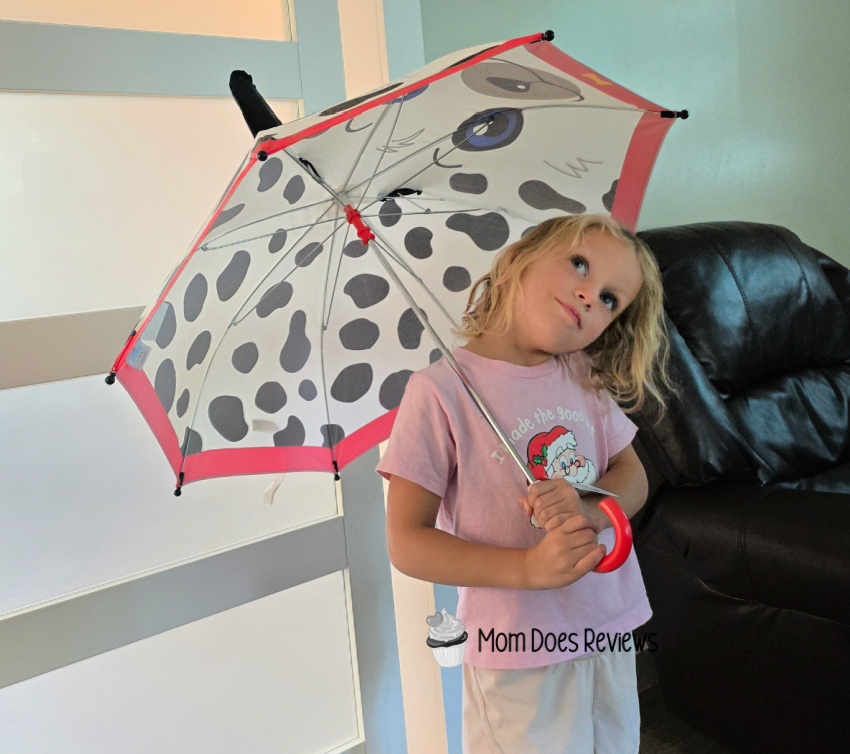 Doggy Umbrella