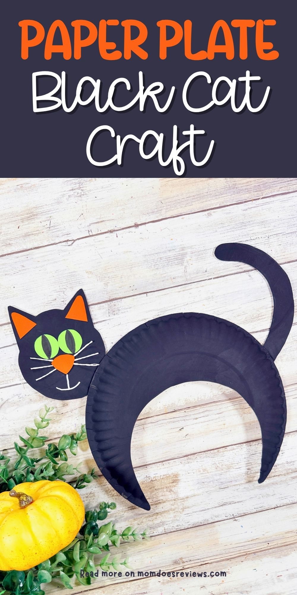 Paper Plate Black Cat craft