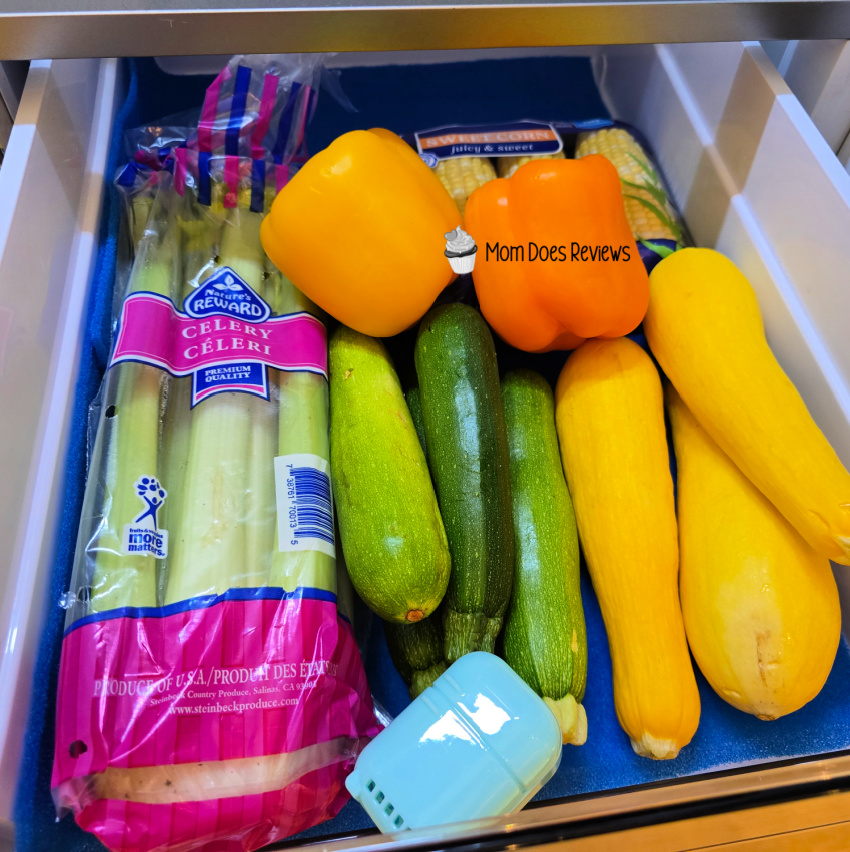 Veggie Bin