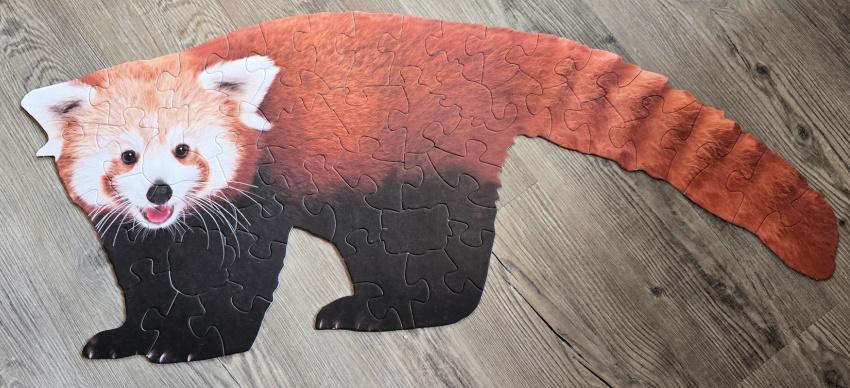 Livuzzle Trivia Puzzles for Kids: Making Family Time More Fun