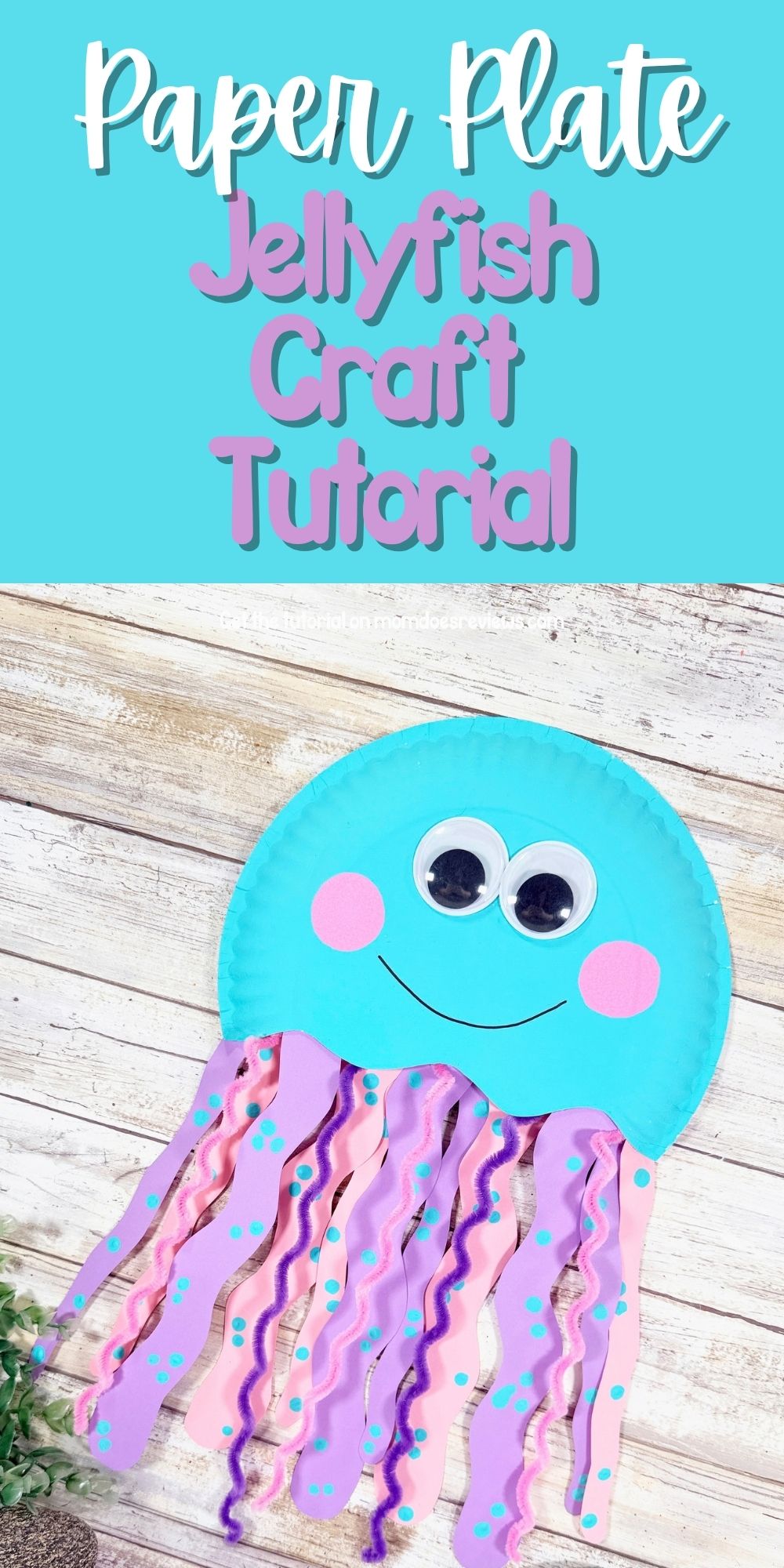 Jellyfish craft