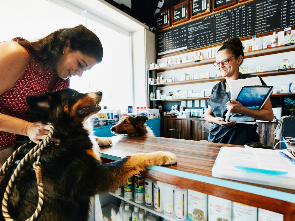 pet adventures